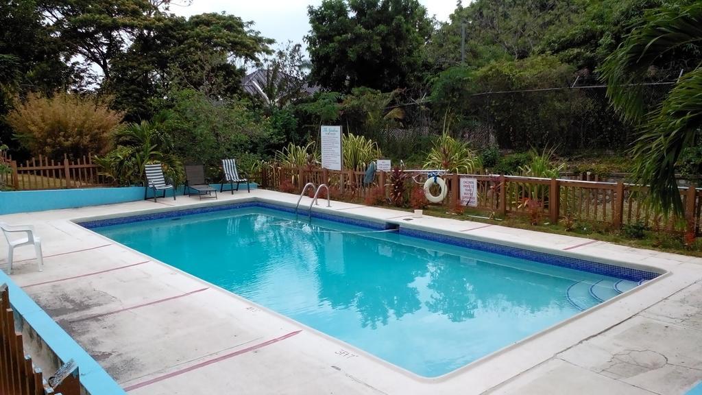 The Gardens Vila Kingston Exterior foto