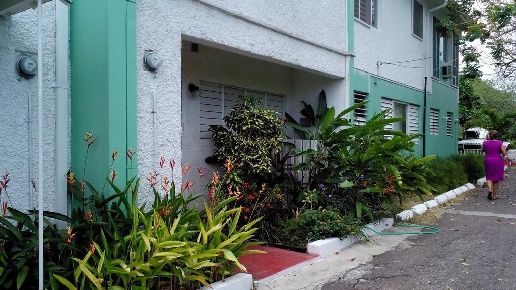 The Gardens Vila Kingston Exterior foto