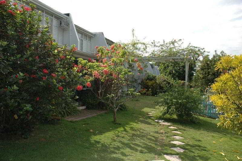 The Gardens Vila Kingston Exterior foto